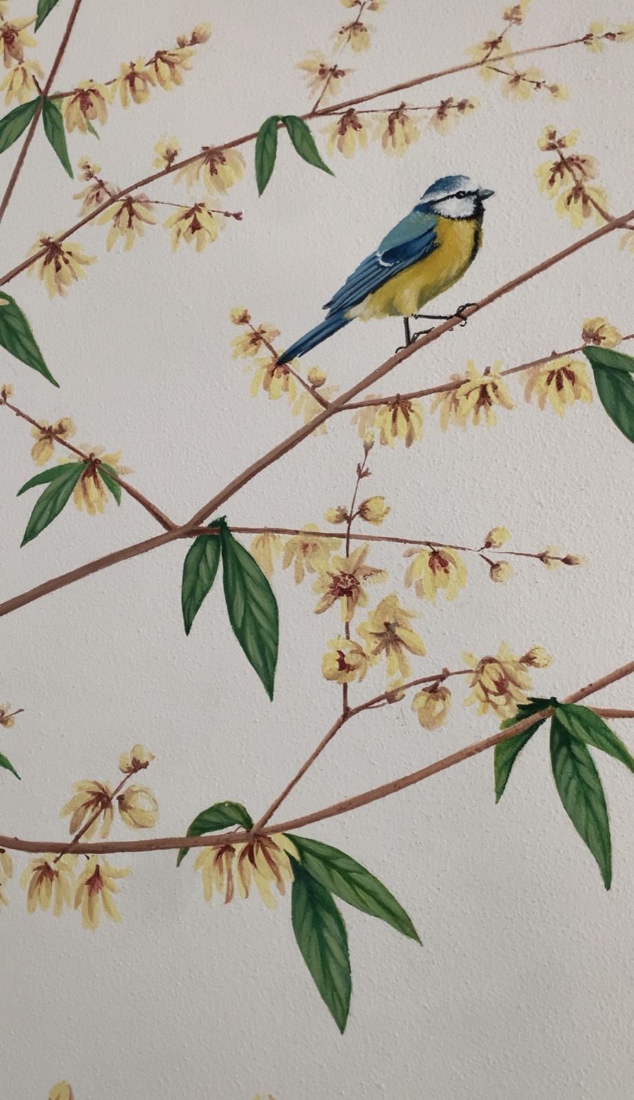 Pittura murale di Prisca Milanese